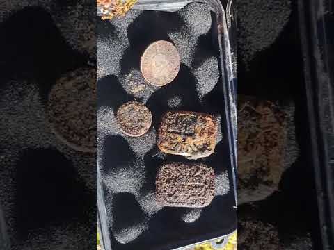 Находки из немецкого