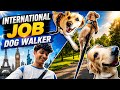 International Job | Dog Walker | Easy Job For College And School Students