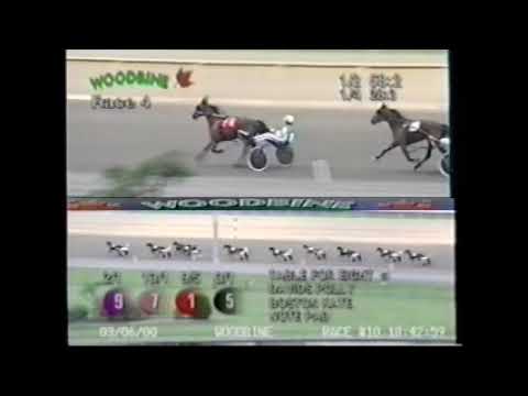 2000 Kikuka Sho (GⅠ) | Air Shakkar | JRA Official - YouTube