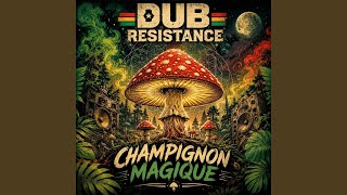 Champignon Magique