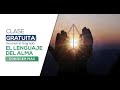 Cierre de Año Formación en Geometría Sagrada | Meditación y Trazo Especial abierto a la Comunidad