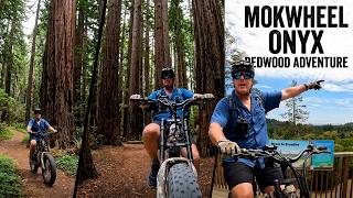 Mokwheel Onyx Ebike Takes On The Redwoods