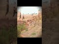 🤫 Superb Jump🏃🏃High Jump