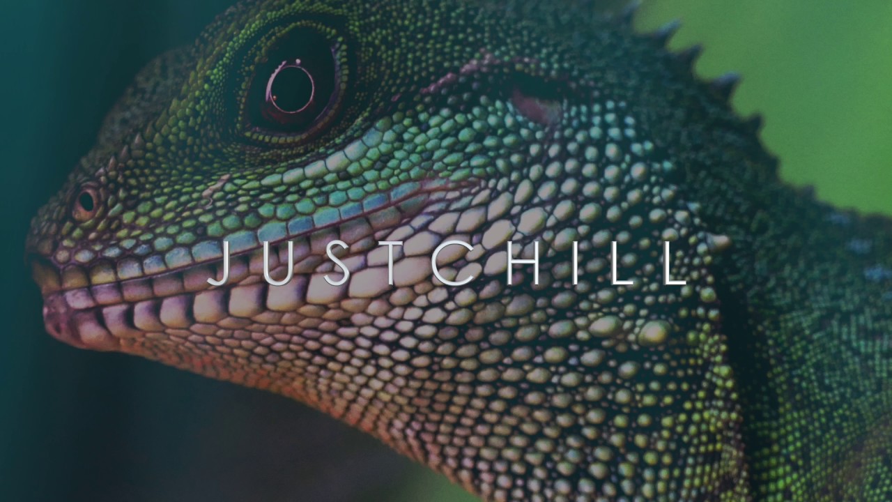 Glass Animals Gooey (Wild Culture Remix) YouTube