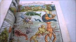 MAPPING THE NEW WORLD Renaissance Maps