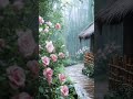 #xuhuongyoutube #tamtrangcuocsong #lờidạycổnhân #yeucuocsong