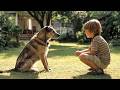 Best Family Adventure Movie | Hidden Orchard Mysteries