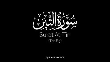 Surat At-Tin (The Fig) - Yasser Al-Dosari - ياسر الدوسري - سورة التين