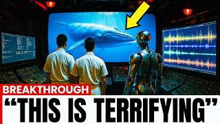 Scientists Decoded Whale Communication Using AI | Amazing Discovery