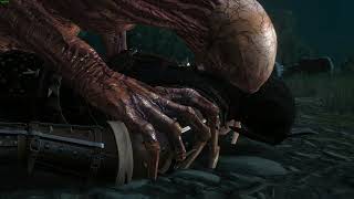 Dettlaff Boss fight No Damage Deathmarch - The Witcher 3: Blood and Wine DLC HD