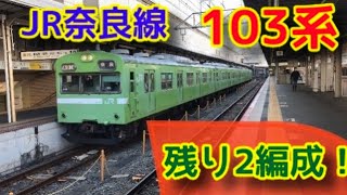 ［残り2編成］JR奈良線の103系を見てきた！