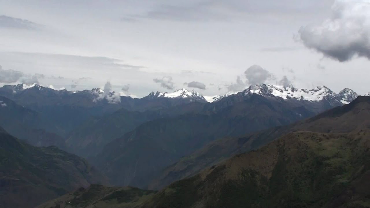 Black-billed Shrike Tyrant