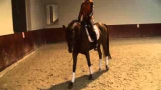 Zlle 2004 nourejev X Stuyvesant