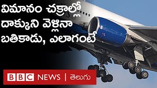 Stowaway Journey: విమాన చక్రాల కింద, సరిగ్గా గాలి కూడా లేని పరిస్థితుల్లో ప్రయాణం చేసి బతకడం అసాధ్యం