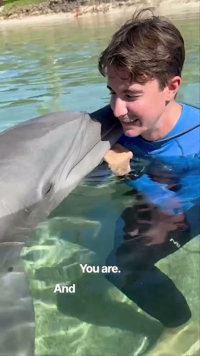 Meet a 500lb dolphin