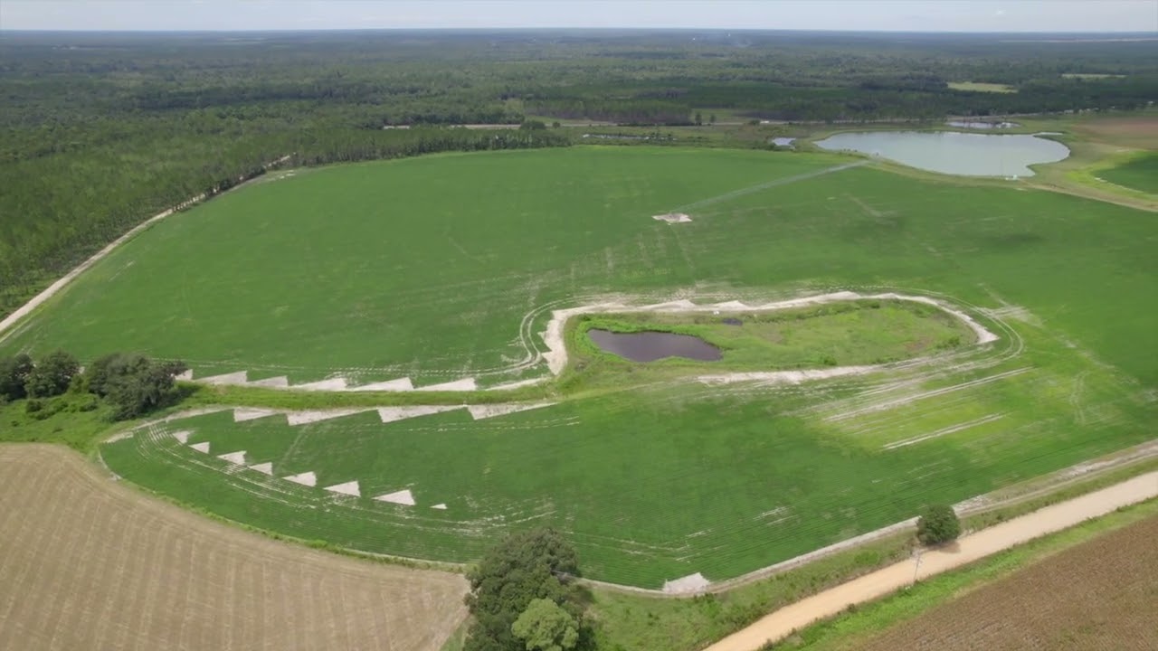 Lanier County MultiProperty Land Auction Prop. 1 thru 4 YouTube