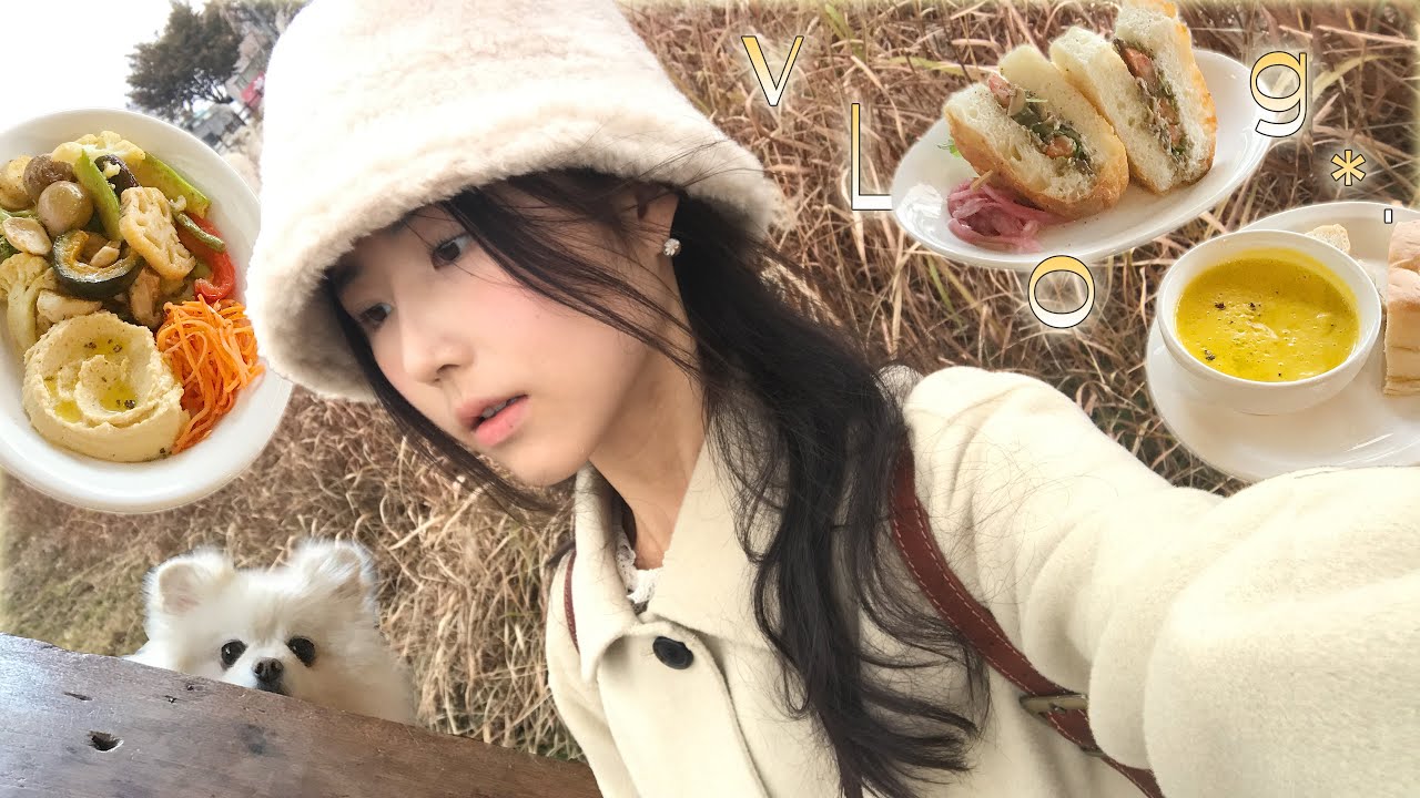 먹으러 떠난 2박 3일 전주여행 🍞 인생 비건브런치 * 빵투어 * 숙소추천 🐈 🌳 . 먹방 𝚟𝙻𝚘𝚐 *•