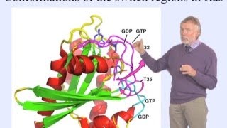 Alfred Wittinghofer (MPI) Part 1: GTP-binding Proteins as Molecular Switches