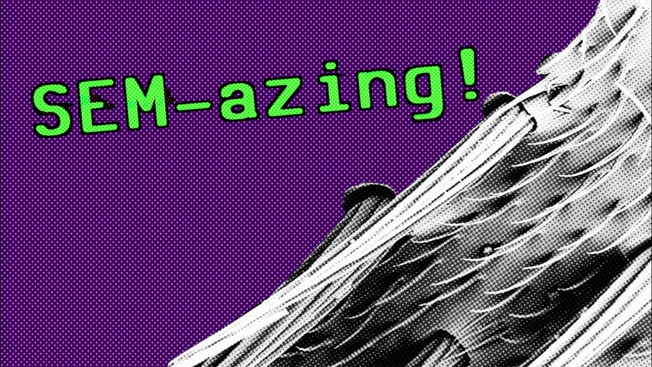 HARIG, STEKELIG EN GRIEZELIG DING ONDER ONZE MICROSCOOP ! YouTube