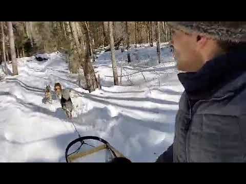 جزائري من كندا يوجه رسالة رائعة للالة حكيمة صبايحي