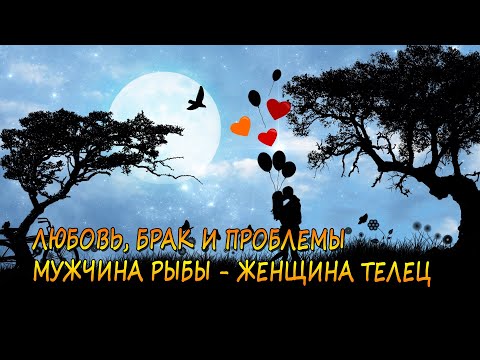 Совместимость мужчины Рыбы и женщины Телец