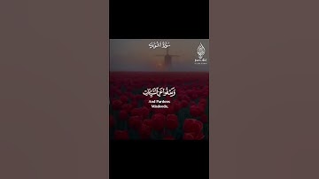 اكتب شيء تؤجر عليه ♥️      ‏‎القارئ اسلام صبحي The reader Islam sobhi   • • ‏   follow    islam  s