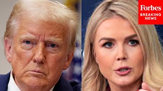 Karoline Leavitt Grilled Trump’s Birthright Citizenship EO: ‘What’s Your Argument’ For It?