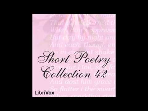 Sonnet 28 by