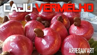 CAJU COM VÁRIAS CORES DE ARTESANATO