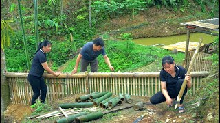 Journey to stabilize life: Together Build a fence for the duck raising area. Plant taro