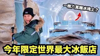 瑞典最震撼的北極圈之旅！一晚6萬竟然睡這裡？開箱世界最大冰飯店！可愛狗拉雪橇竟意外翻車