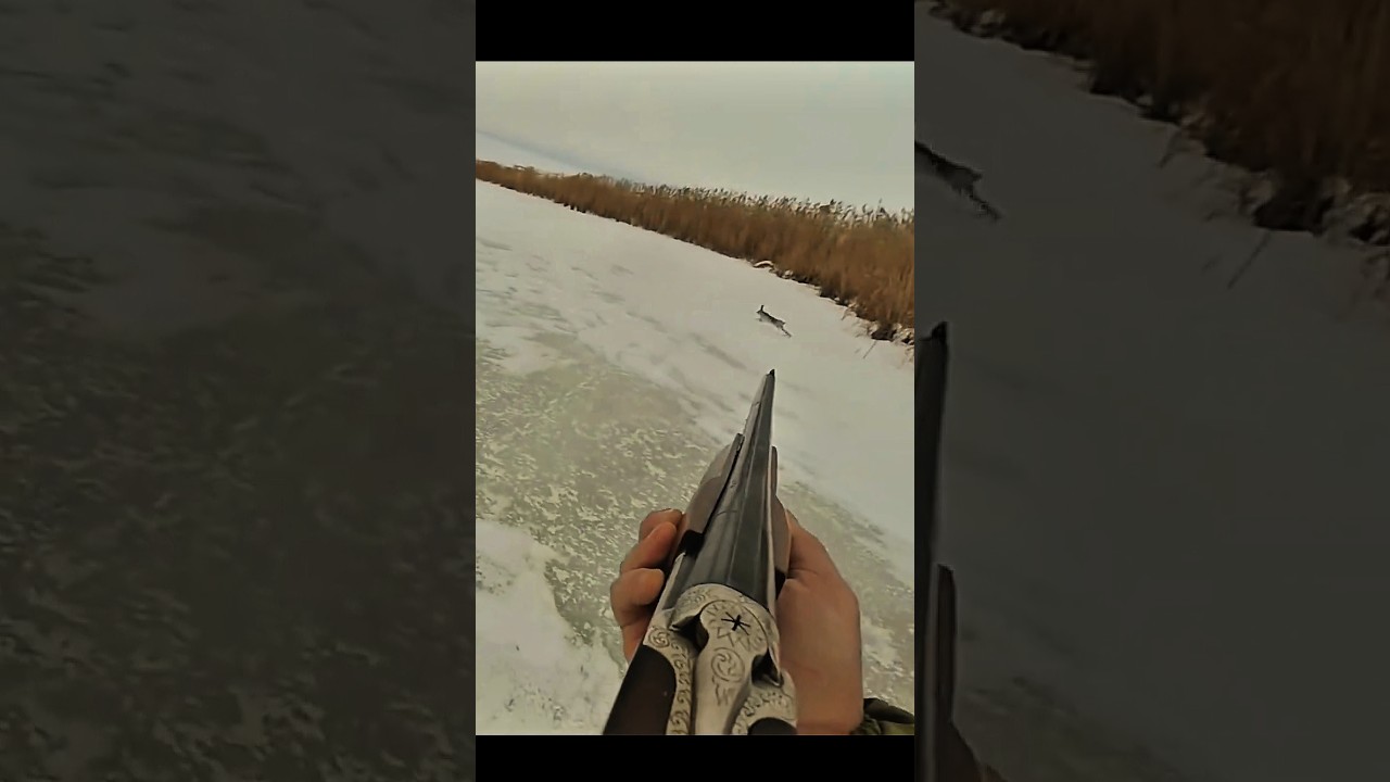 Успешная охота на кролика | Реальные кадры  