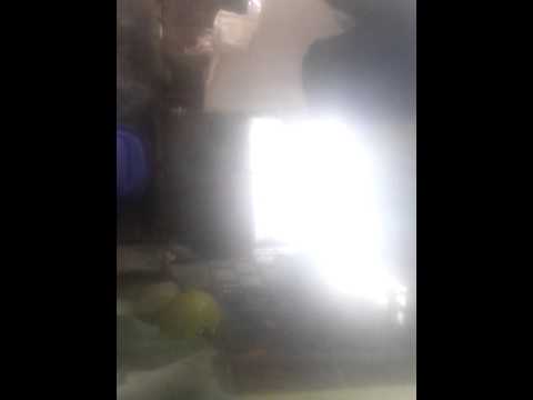 Mi đổi - YouTube