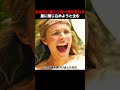 女は男に毒入り食べ物を食わせ、島に閉じ込めようと企む！#shorts #映画 #映画解説