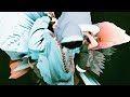 Solsticio - DJ Raff [Teaser]