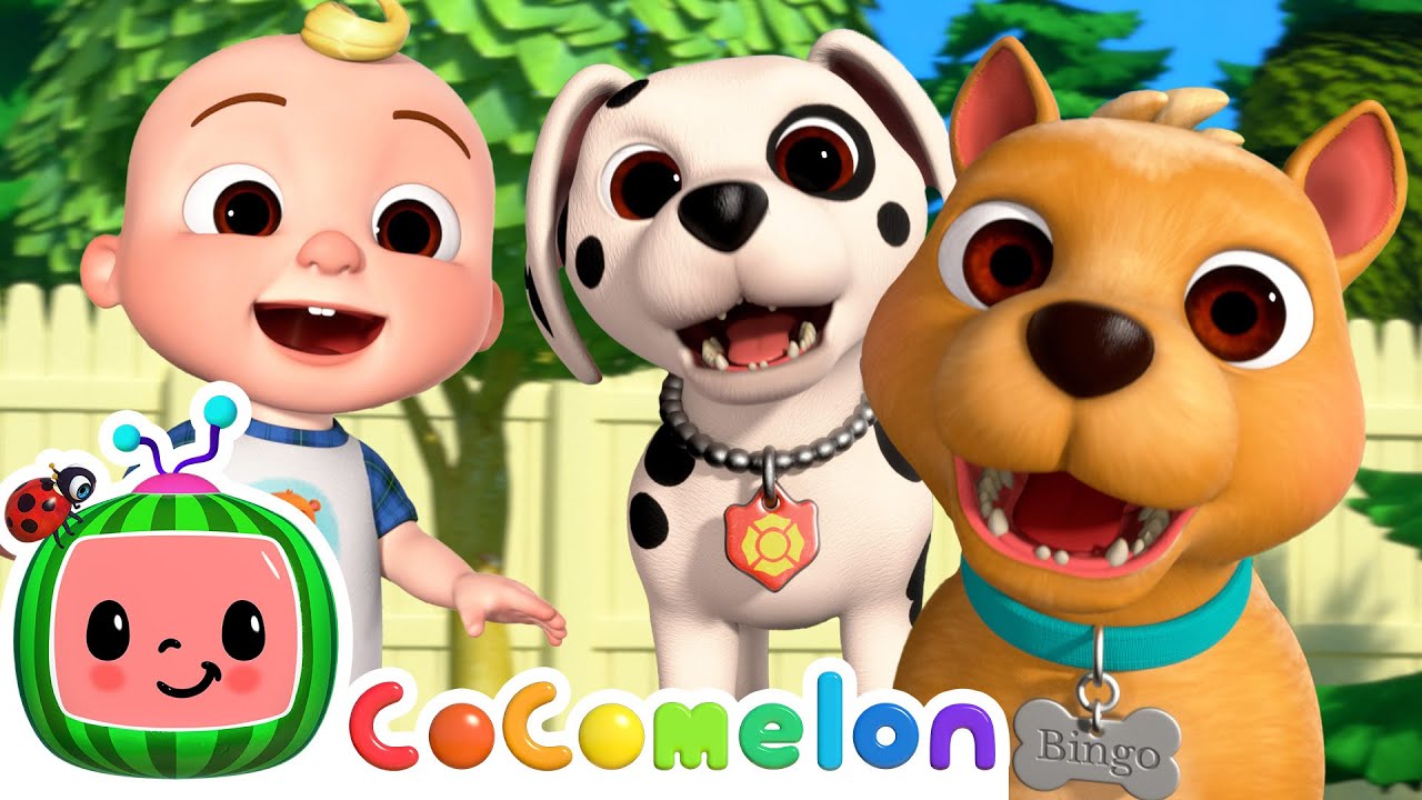 BINGO Puppy Play Date! | CoComelon Nursery Rhymes & Kids Songs BINGO Puppy Play Date! | CoComelon Nursery Rhymes & Kids Songs