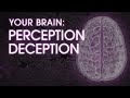NOVA Your Brain: Perception Deception