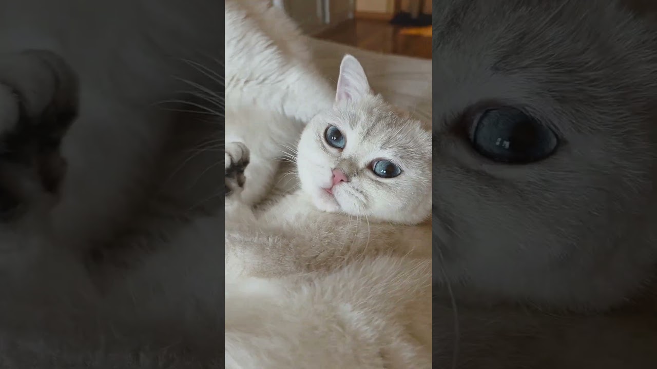 10 минут нежности и заботы от Макса в 1 минутке. 🥰