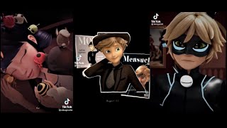 Miraculous Tiktok edits because season 5 is out