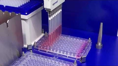 Cell Culture and Seating the HaCaT Cell Line with epMotion 5070