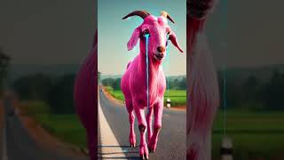 PINK GOAT BECOMING A STRONG MINI STORY...... #trending #ai