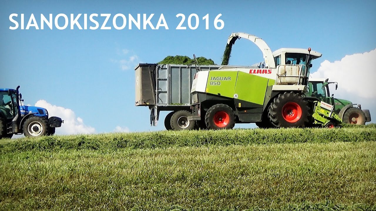 I pokos // Sianokiszonka 2016 na większą skale // Fendt,Class,New holland,Zetor,Ursus,Schafer