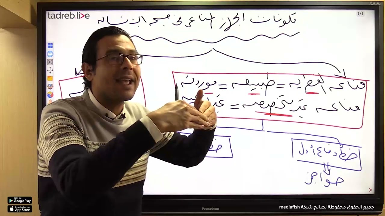 حصه تمهيديه لفهم خط الدفاع الثالث