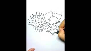 How To Draw Rambutan Tropical Fruits Step by Step
