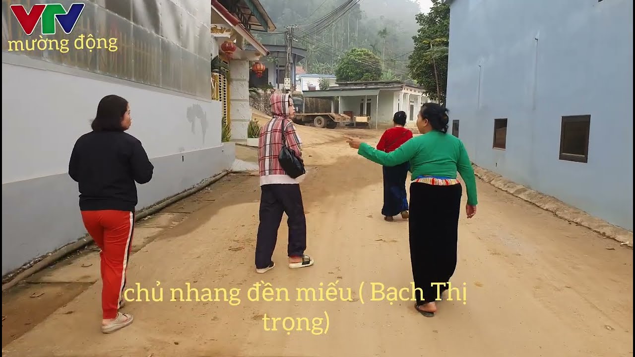 VTV mường động