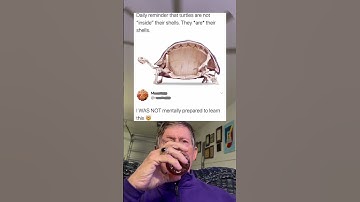 Daily Reminder That Turtles Are Not "Inside" Their Shells. (grandpa)