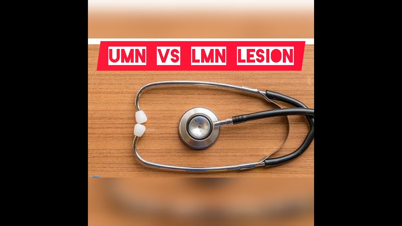UMNL AND LMNL DIFFERENCE - YouTube
