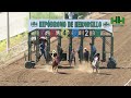 Carreras de Caballos 15 de Octubre 2023 Hipódromo de Hermosillo