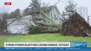 Storm damage in Amherst: Tree crashes down