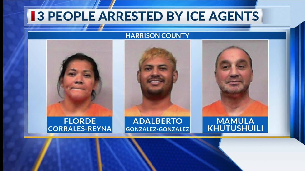 National Security expert shares thoughts on West Virginia's recent ICE operations